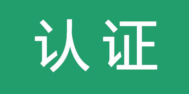 外推蜘蛛池SEO